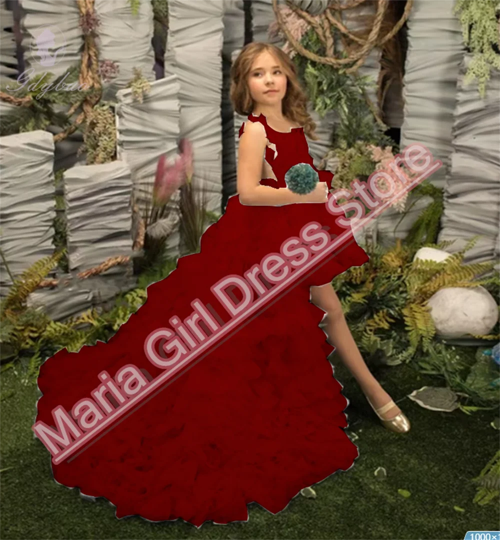 Birthday Flower Girl Dresses For Wedding 2 Piece Applique Princess Pageant Dress With Detachable Train Toddlers Tiered Tulle