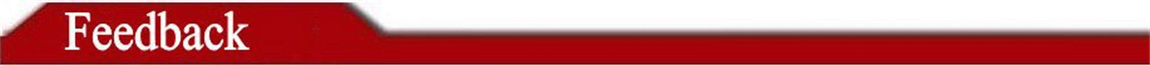 2023 Maternity Wedding Gowns For Pregnant Women Chiffon A-Line Beach Boho Bridal Dresses Illusion Long Sleeve Lace Appliquesed