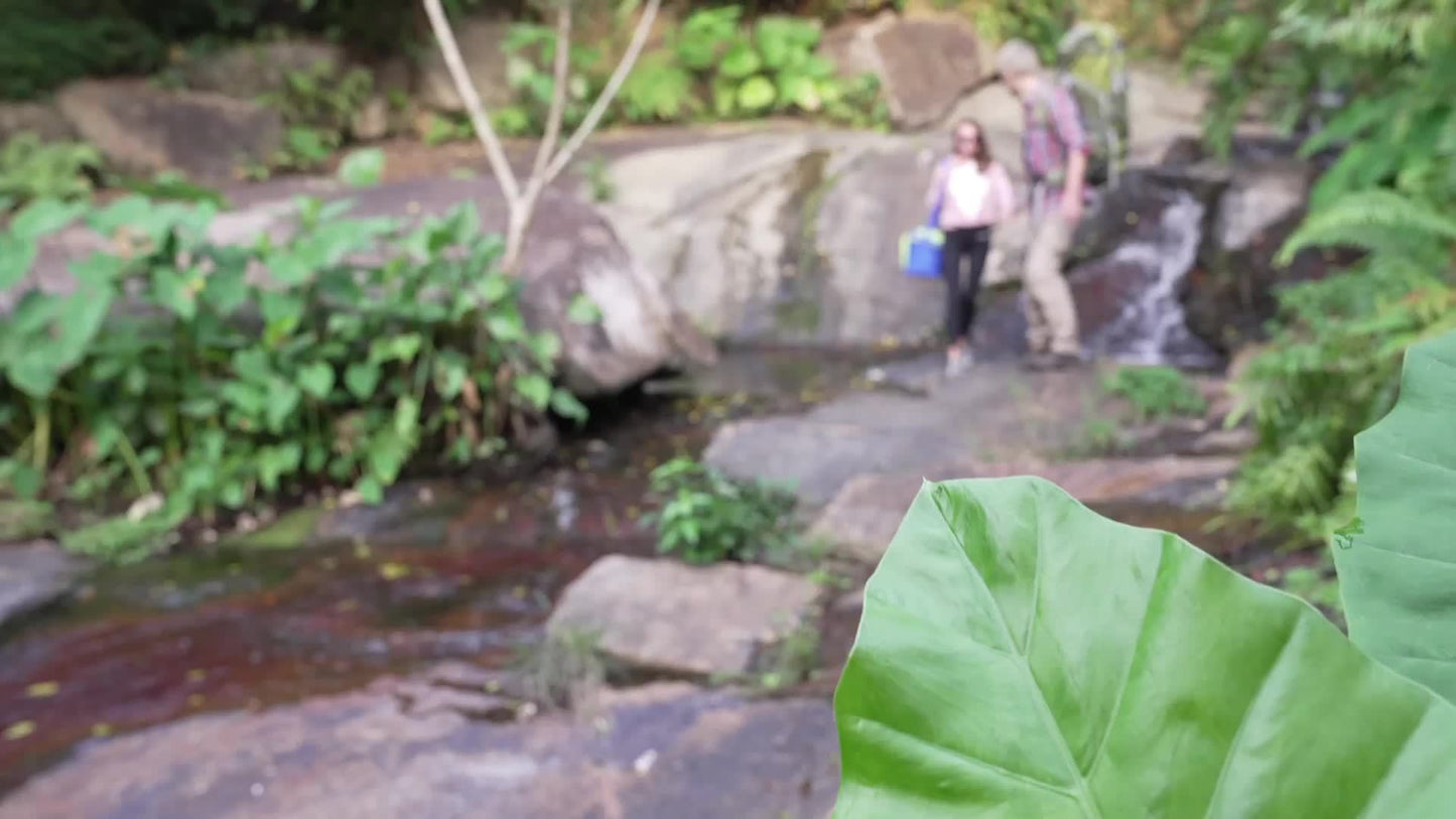 Fundango Ultralight Folding Tent Camping Bed, Portable Compact For Outdoor Travel, Base Camp, Hiking, Mountaineering, Lightweight Backpacking